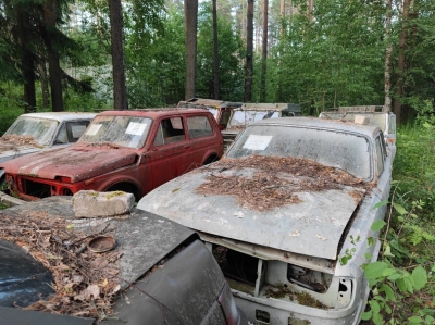 В глухих лесах обнаружил кладбище отечественных автомобилей - в зарослях гниют десятки машин